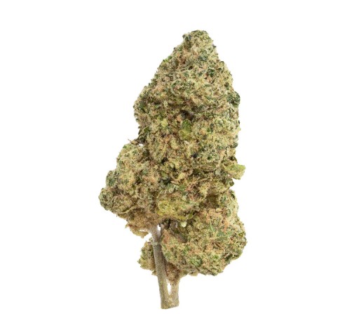 The Republic - Black Label - 28g