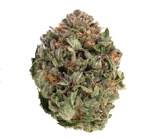 1964 - Comatose - 1g