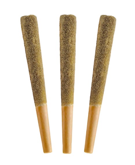 XPLOR - Jungle Fruit Distillate Infused Pre-Roll